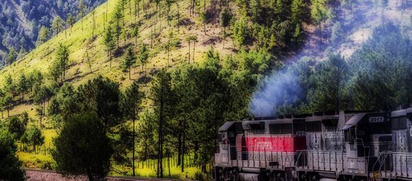 El tren de pasajeros en México - Sputnik Mundo