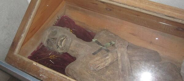 La momia de Franz Xaver Sydler von Rosenegg La momia de Franz Xaver Sydler von Rosenegg - Sputnik Mundo