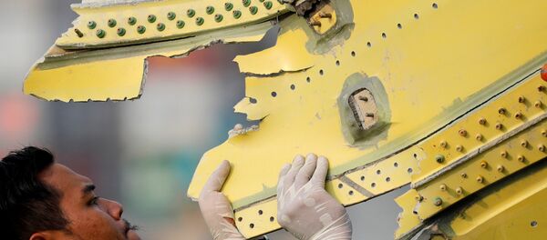 Fragmento del avión de la compañía Lion Air siniestrado en Indonesia Fragmento del avión de la compañía Lion Air siniestrado en Indonesia - Sputnik Mundo