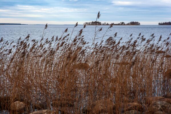 La hipnótica belleza del lago ruso Onega - Sputnik Mundo