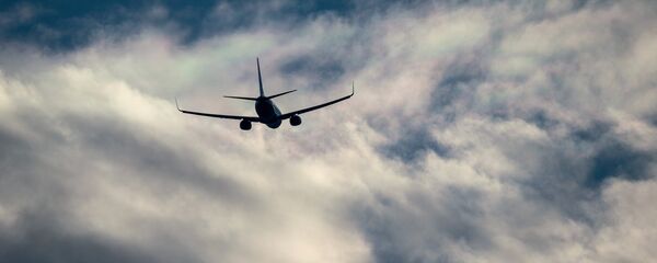 Un avión de pasajeros Airbus (imagen referencial) - Sputnik Mundo