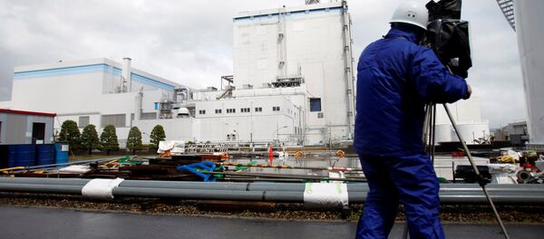 Planta nuclear de Tokai, Japón - Sputnik Mundo