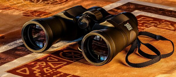 Unos binoculares (imagen referencial) Unos binoculares (imagen referencial) - Sputnik Mundo