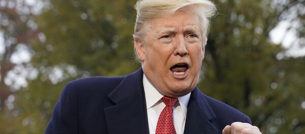 Donald Trump, presidente de EEUU - Sputnik Mundo