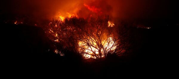 Un incendio forestal en Malibú - Sputnik Mundo