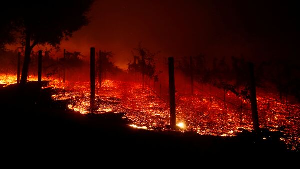 Incendio en California - Sputnik Mundo