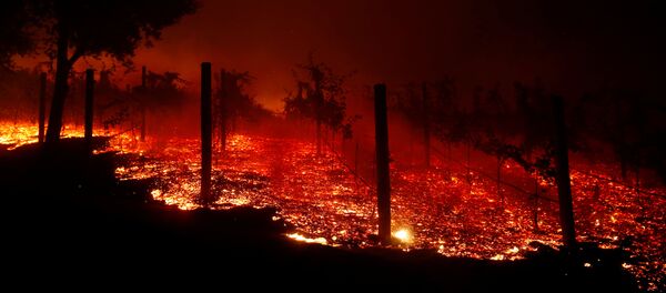 Incendio en California - Sputnik Mundo