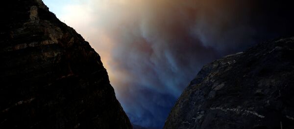 El incendio más devastador ha sido bautizado como Woolsey Fire, por la localidad a la que ha golpeado. El incendio más devastador ha sido bautizado como Woolsey Fire, por la localidad a la que ha golpeado. - Sputnik Mundo