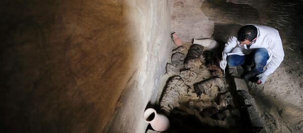 Excavación arqueológica en una tumba del emplazamiento de Saqqara - Sputnik Mundo