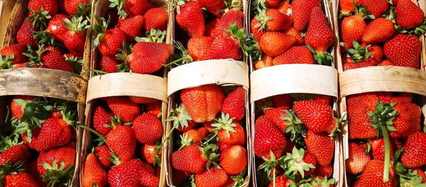 Canastillas de fresas - Sputnik Mundo