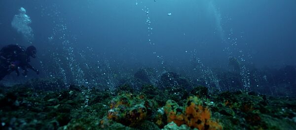Imagen registrada en las Islas Galápagos, parte de la exposición 'The Origins of Color' del artista Paul Rosero Contreras - Sputnik Mundo