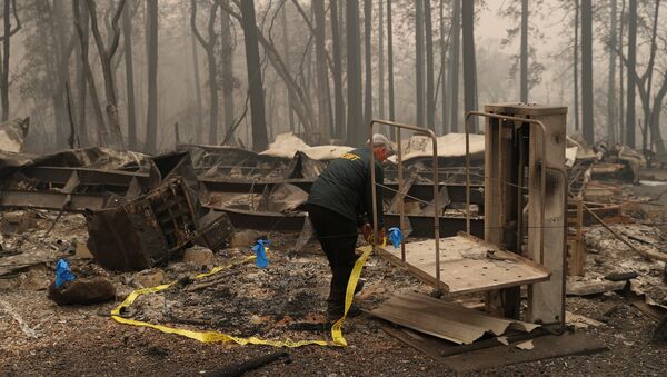 Incendios forestales en California - Sputnik Mundo