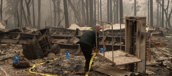Incendios forestales en California - Sputnik Mundo