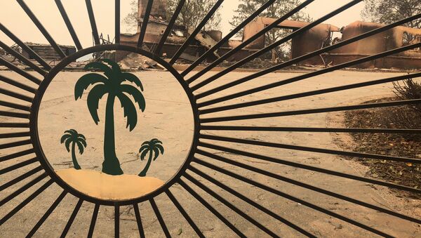 Consecuencias de los incendios forestales en California - Sputnik Mundo