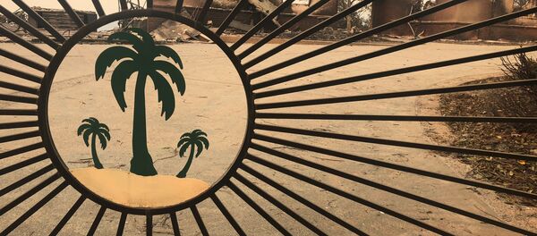 Consecuencias de los incendios forestales en California - Sputnik Mundo