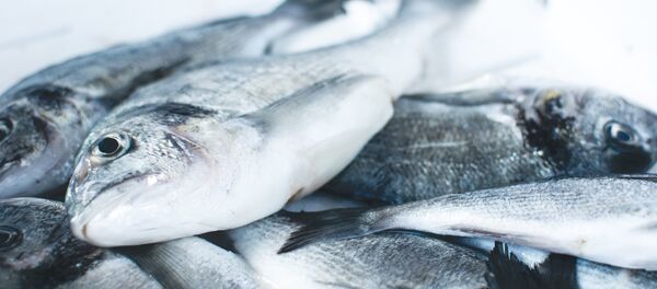 Peces (imagen referencial) - Sputnik Mundo