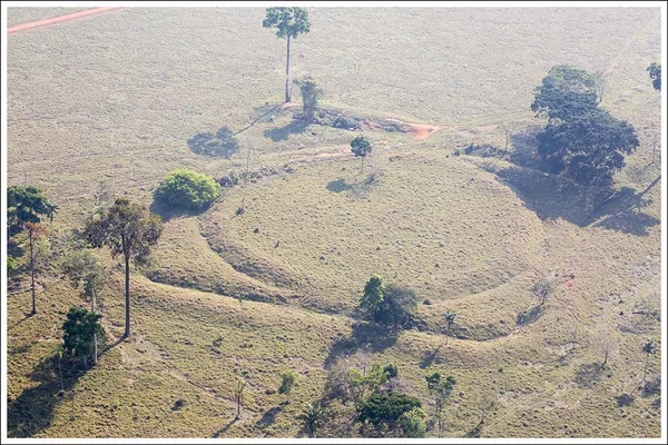 Un geoglifo en el lugar de las excavaciones arqueológicas Jaco Sa Un geoglifo en el lugar de las excavaciones arqueológicas Jaco Sa - Sputnik Mundo