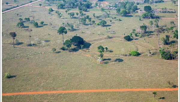 Un geoglifo en el lugar de las excavaciones arqueológicas Jaco Sa - Sputnik Mundo