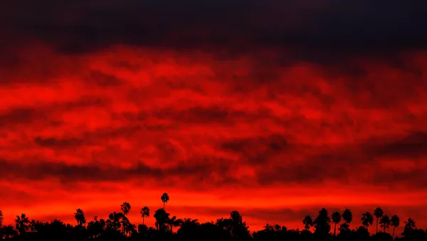 Incendios en California - Sputnik Mundo