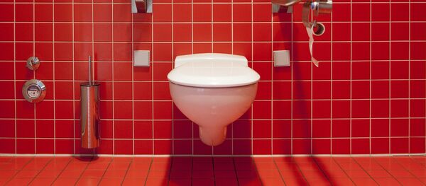 Un baño - Sputnik Mundo