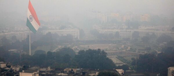 Contaminación en Nyeva Delhi, la India - Sputnik Mundo