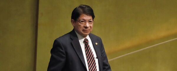 Denis Moncada, canciller de Nicaragua - Sputnik Mundo