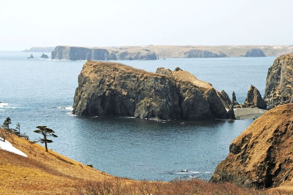 Así es una de las islas que Japón trata de arrebatar a Rusia - Sputnik Mundo