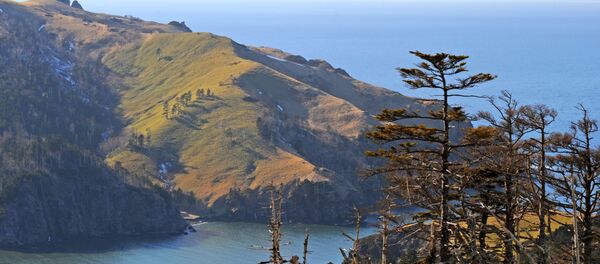 Así es una de las islas que Japón trata de arrebatar a Rusia - Sputnik Mundo