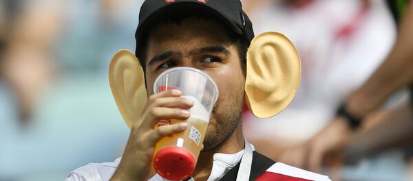 Un hincha de Perú (Archivo) - Sputnik Mundo