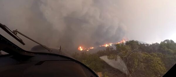 Incendios forestales en California - Sputnik Mundo