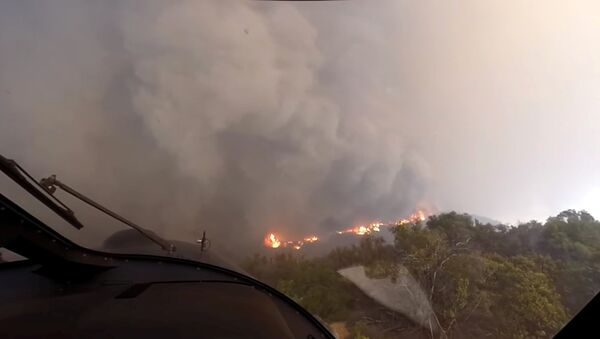 Incendios forestales en California Incendios forestales en California - Sputnik Mundo