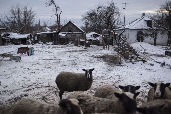 La guerra continúa: las consecuencias de los ataques de Kiev contra Lugansk - Sputnik Mundo