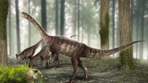 El dinosaurio de cuello largo más antiguo del mundo