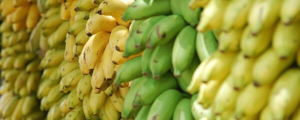 Plátanos - Sputnik Mundo