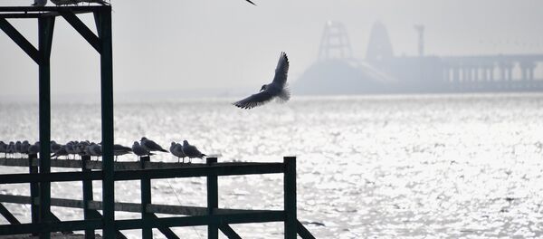 Estrecho de Kerch - Sputnik Mundo
