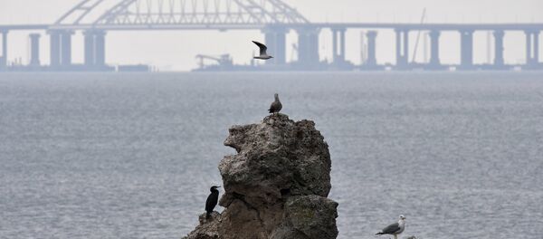 El estrecho de Kerch El estrecho de Kerch - Sputnik Mundo