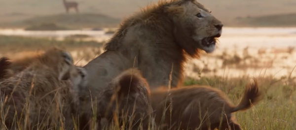 Uno contra decenas: un león se enfrenta solo a una manada de hienas - Sputnik Mundo