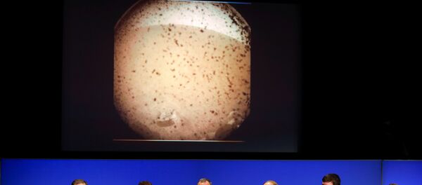 Científicos de la NASA comentan el aterrizaje de la sonda InSight en Marte - Sputnik Mundo