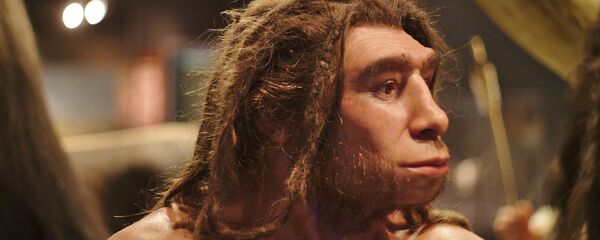 Un homo neanderthalensis en el museo de Munster (Alemania) Un homo neanderthalensis en el museo de Munster (Alemania) - Sputnik Mundo