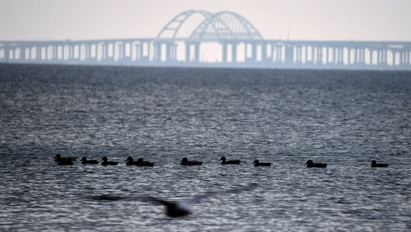 Puente de Crimea sobre el estrecho de Kerch - Sputnik Mundo