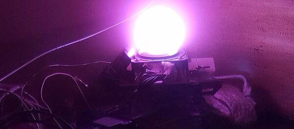 El ensayo de un nuevo motor de cohete de propulsión eléctrica que utiliza yodo El ensayo de un nuevo motor de cohete de propulsión eléctrica que utiliza yodo - Sputnik Mundo