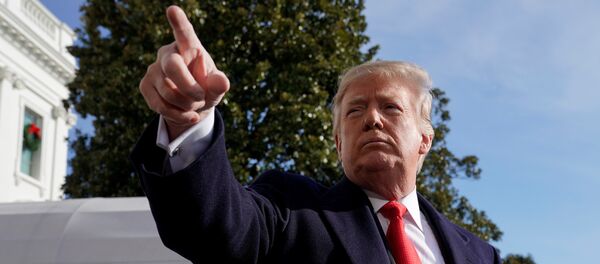 Donald Trump, presidente de EEUU - Sputnik Mundo