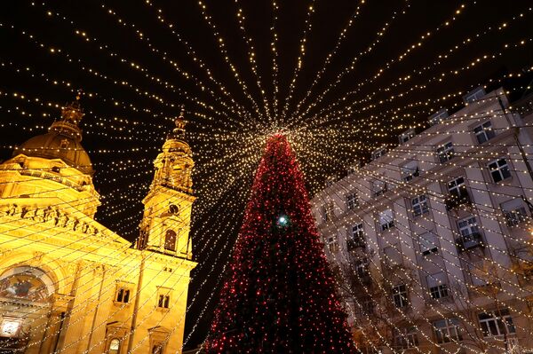 Un árbol de Navidad luce todo su esplendor frente a la Basílica de San Esteban en Budapest, Hungría - Sputnik Mundo