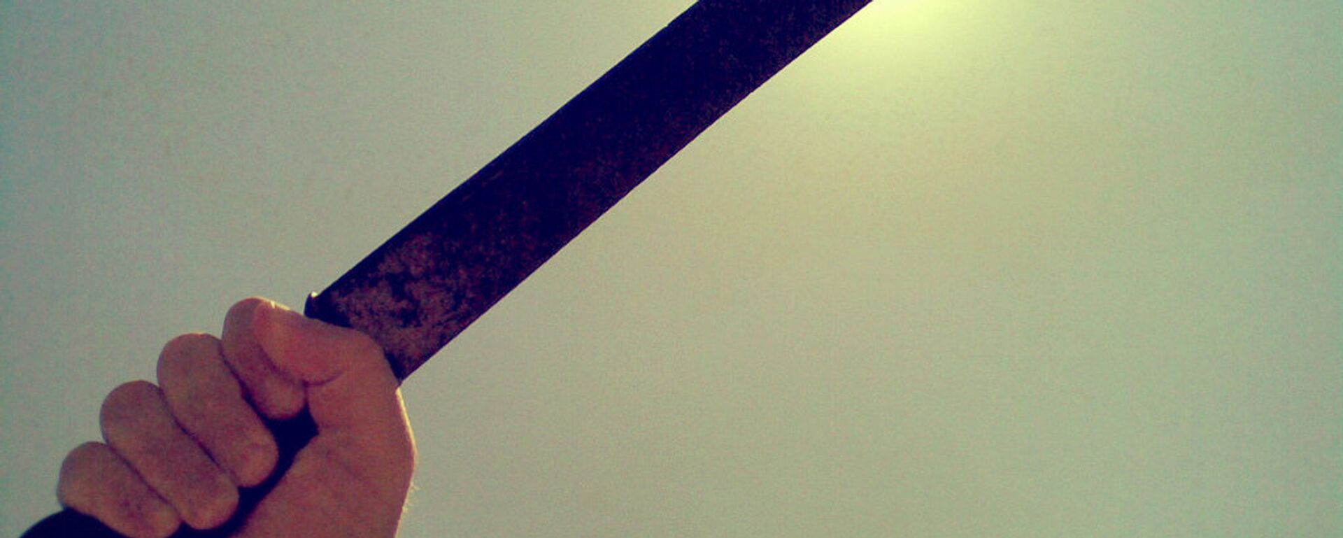 Un machete (imagen referencial) - Sputnik Mundo, 1920, 05.04.2023