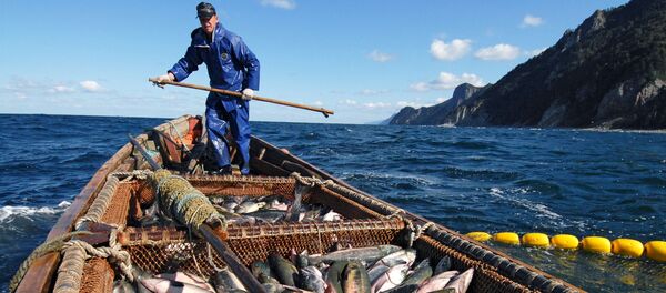 Las islas de la discordia: así es el día a día de los habitantes de las Kuriles Las islas de la discordia: así es el día a día de los habitantes de las Kuriles - Sputnik Mundo