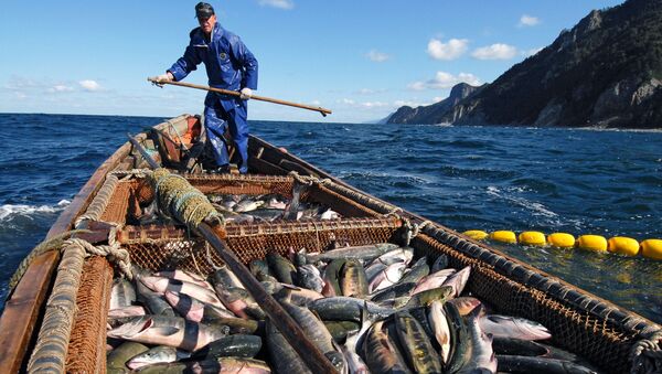 Las islas de la discordia: así es el día a día de los habitantes de las Kuriles - Sputnik Mundo