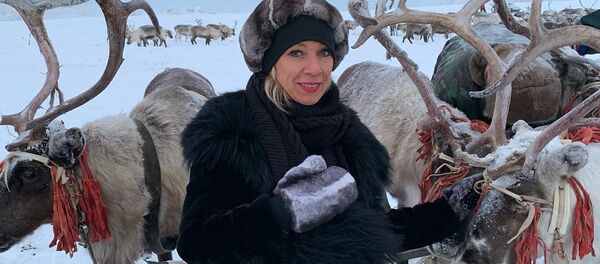 María Zajárova, portavoz de la Cancillería rusa, cumple su sueño de ver a un venado María Zajárova, portavoz de la Cancillería rusa, cumple su sueño de ver a un venado - Sputnik Mundo