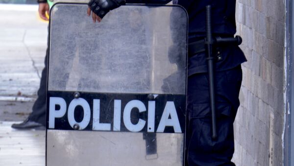 Policía de Brasil - Sputnik Mundo