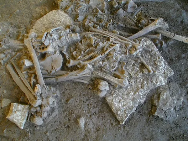 Restos de campesina donde se encontró una cepa de la bacteria Yersinia pestis Restos de campesina donde se encontró una cepa de la bacteria Yersinia pestis - Sputnik Mundo