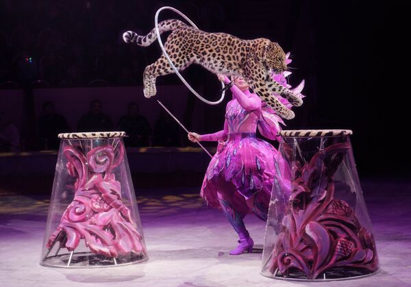 Escena del show de los hermanos Zapashni 'El mensajero', mostrado en San Petersburgo Escena del show de los hermanos Zapashni 'El mensajero', mostrado en San Petersburgo - Sputnik Mundo